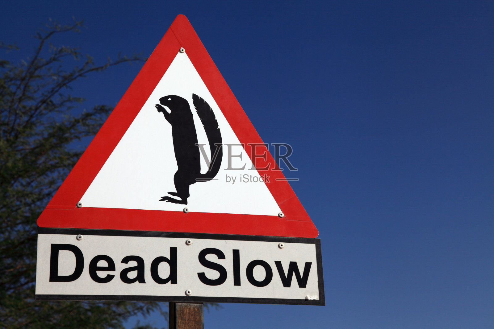 纳米比亚的路标照片摄影图片