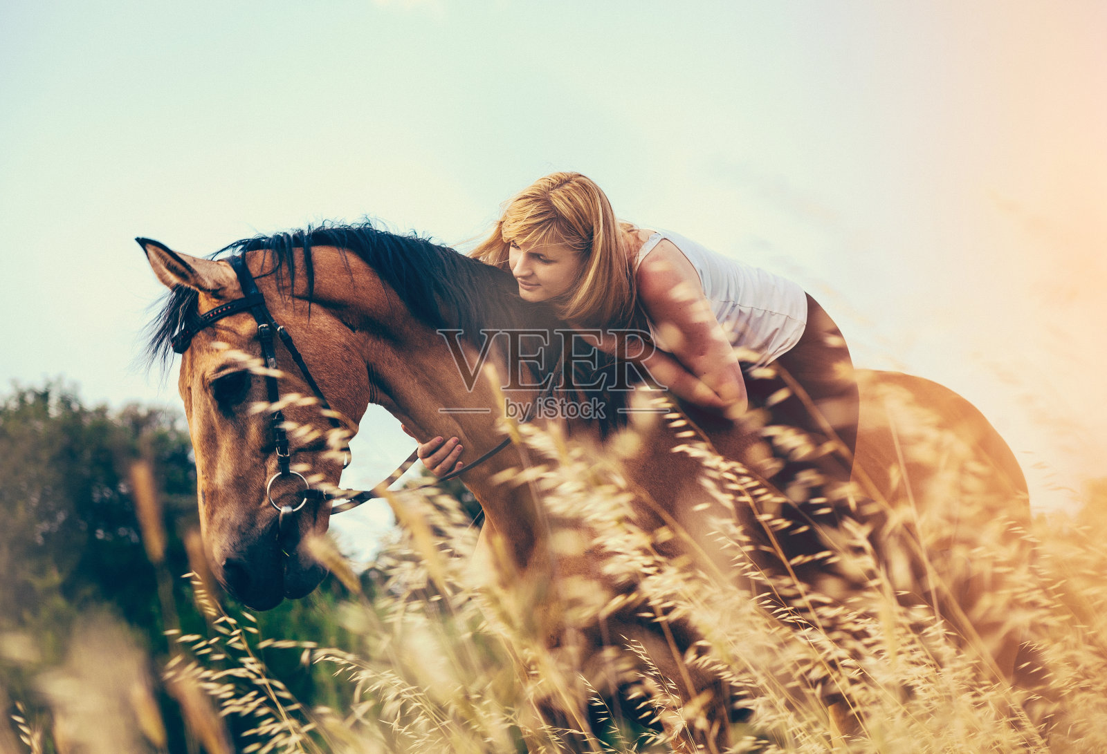 年轻女子在大自然中骑马照片摄影图片