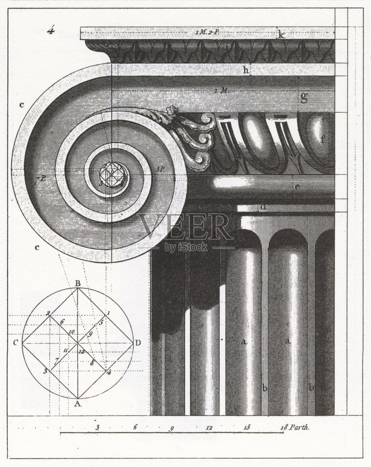 雕刻:离子列插画图片素材