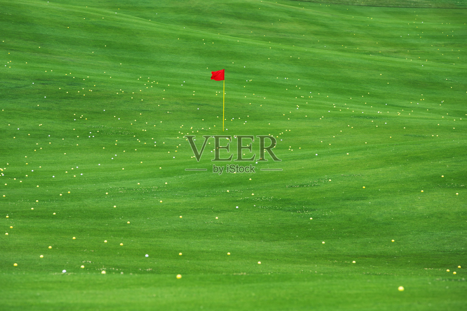 草地上的高尔夫球照片摄影图片