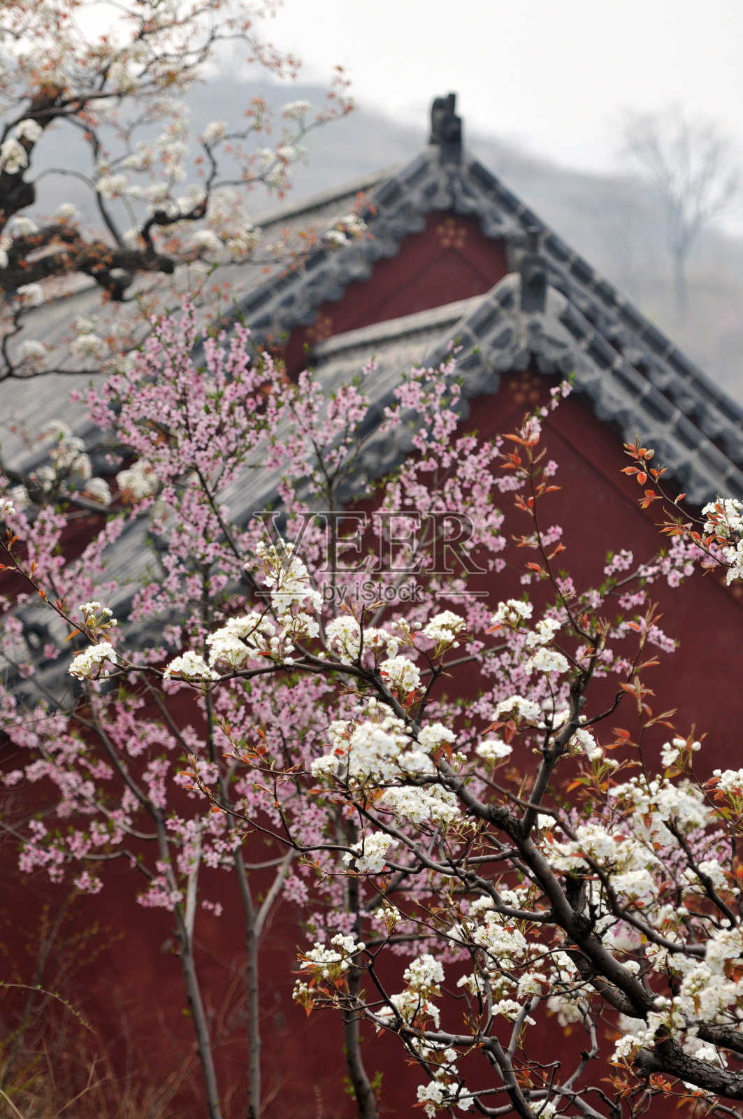 寺庙的山照片摄影图片