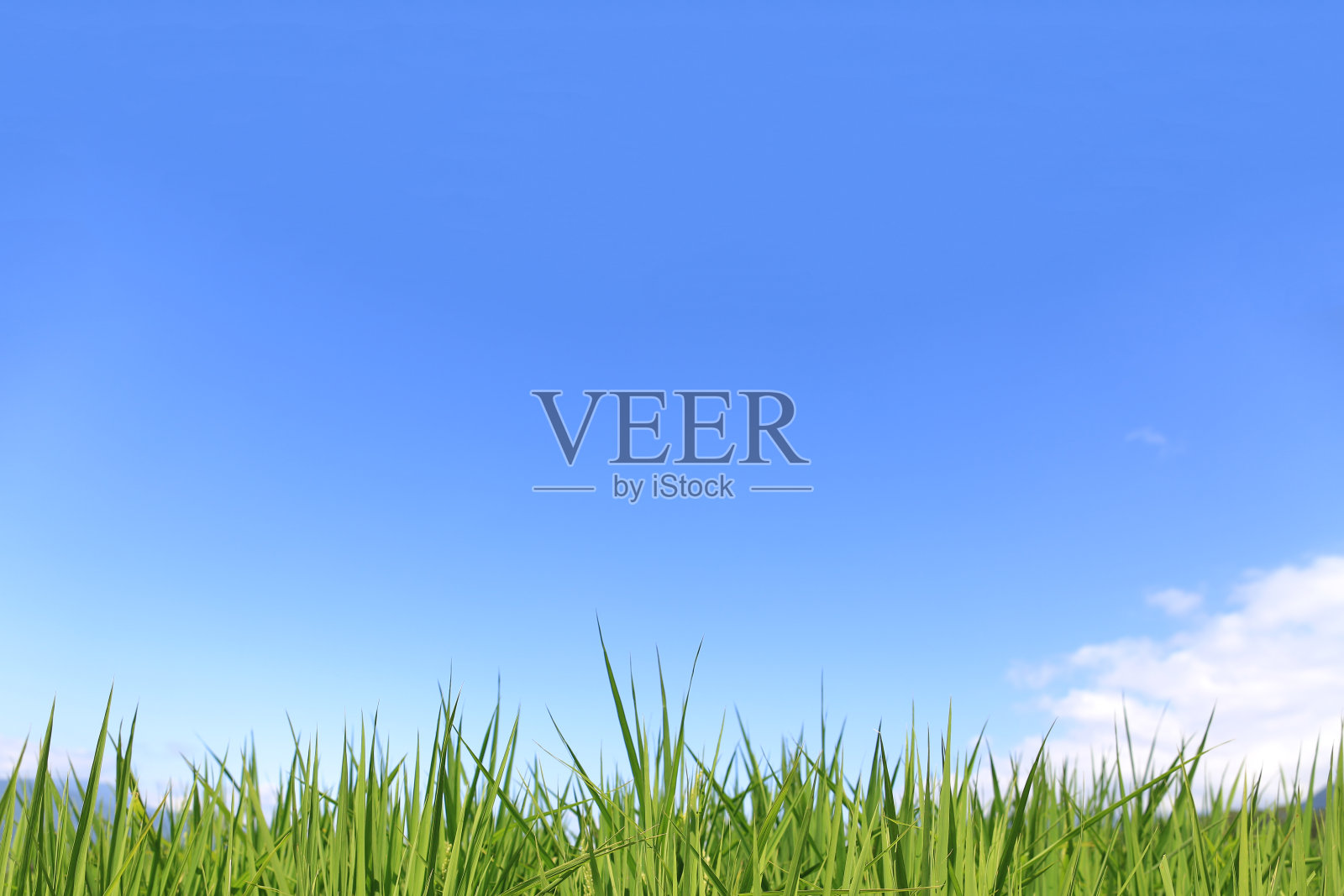 绿色领域-股票形象照片摄影图片