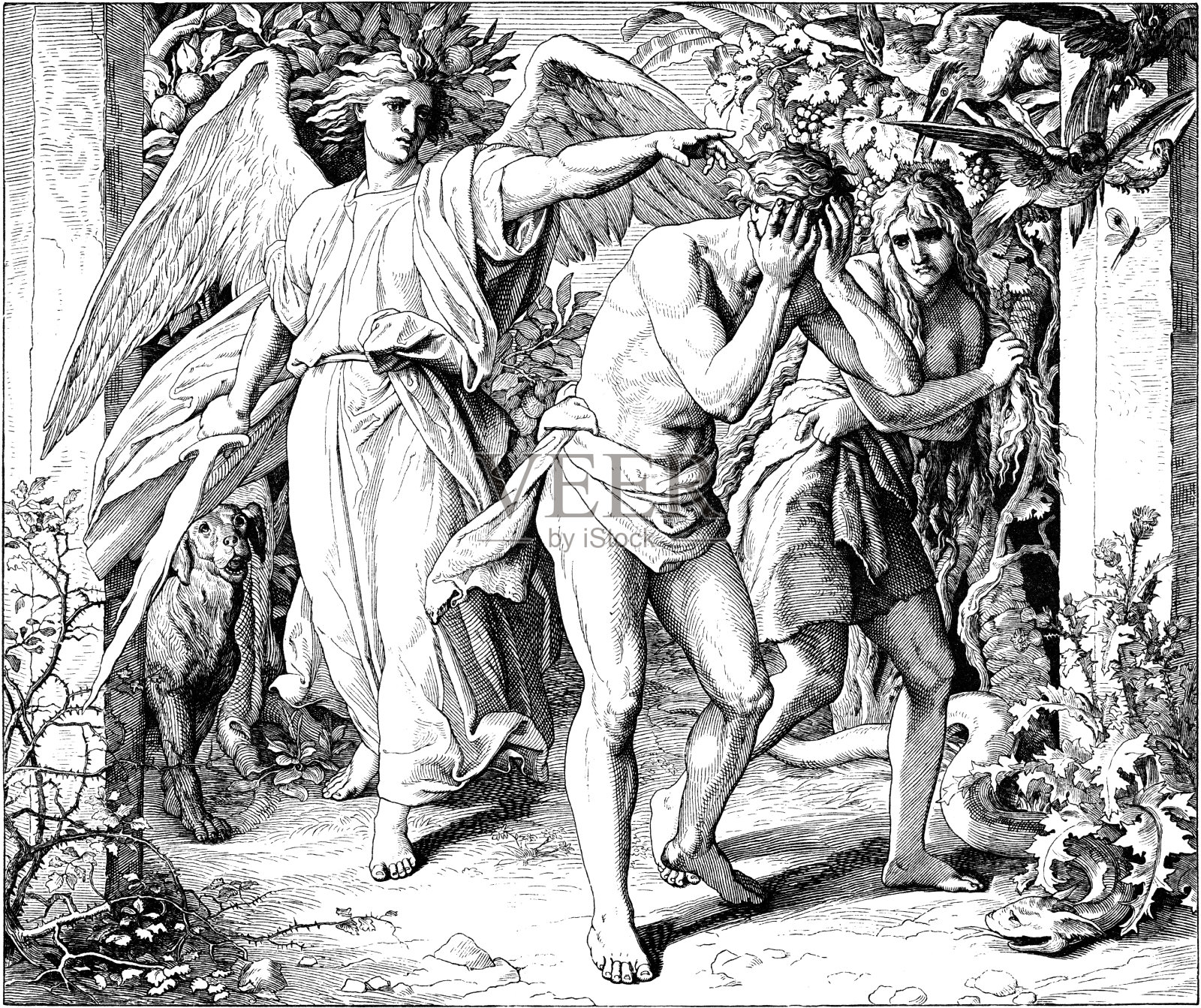 亚当和夏娃被逐出伊甸园插画图片素材