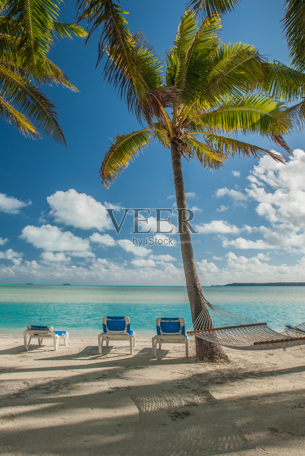 库克群岛的白色沙滩和棕榈树照片摄影图片