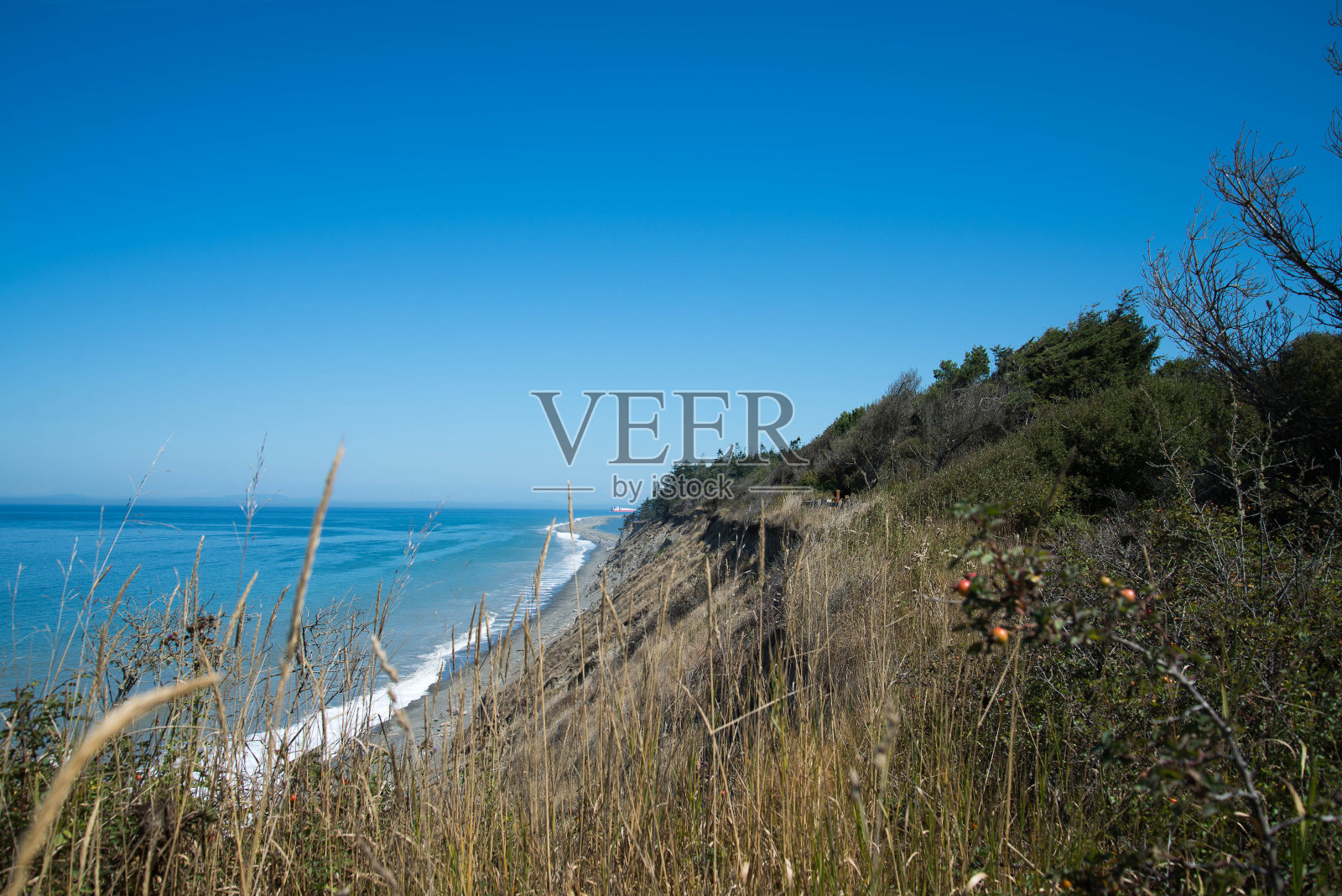 华盛顿的海岸线照片摄影图片