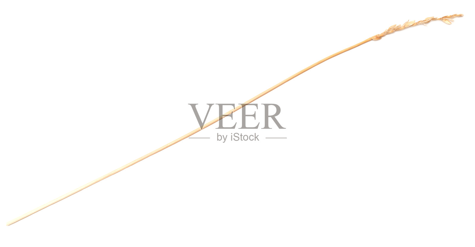 麦秸照片摄影图片