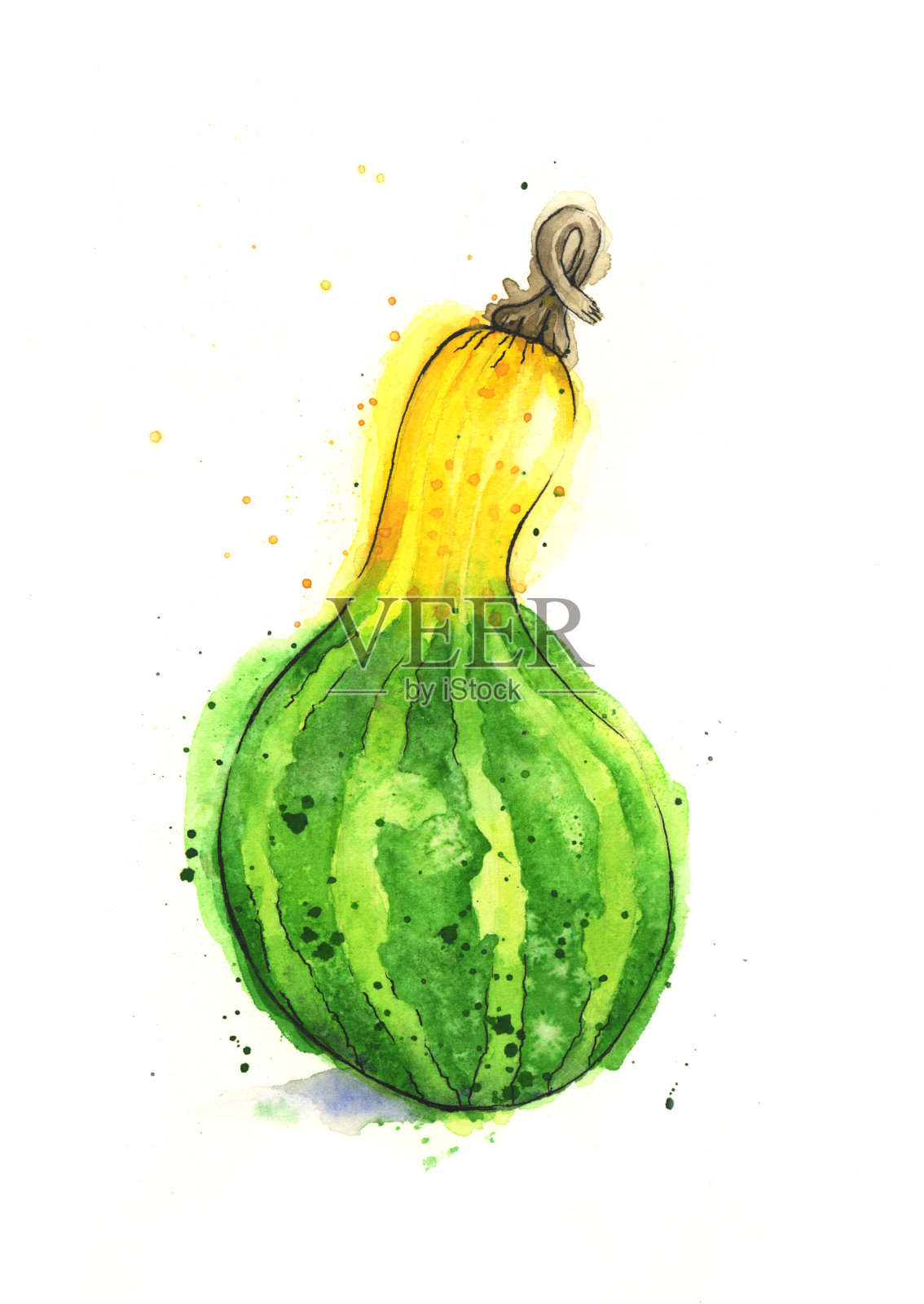 水彩葫芦或南瓜画插画图片素材