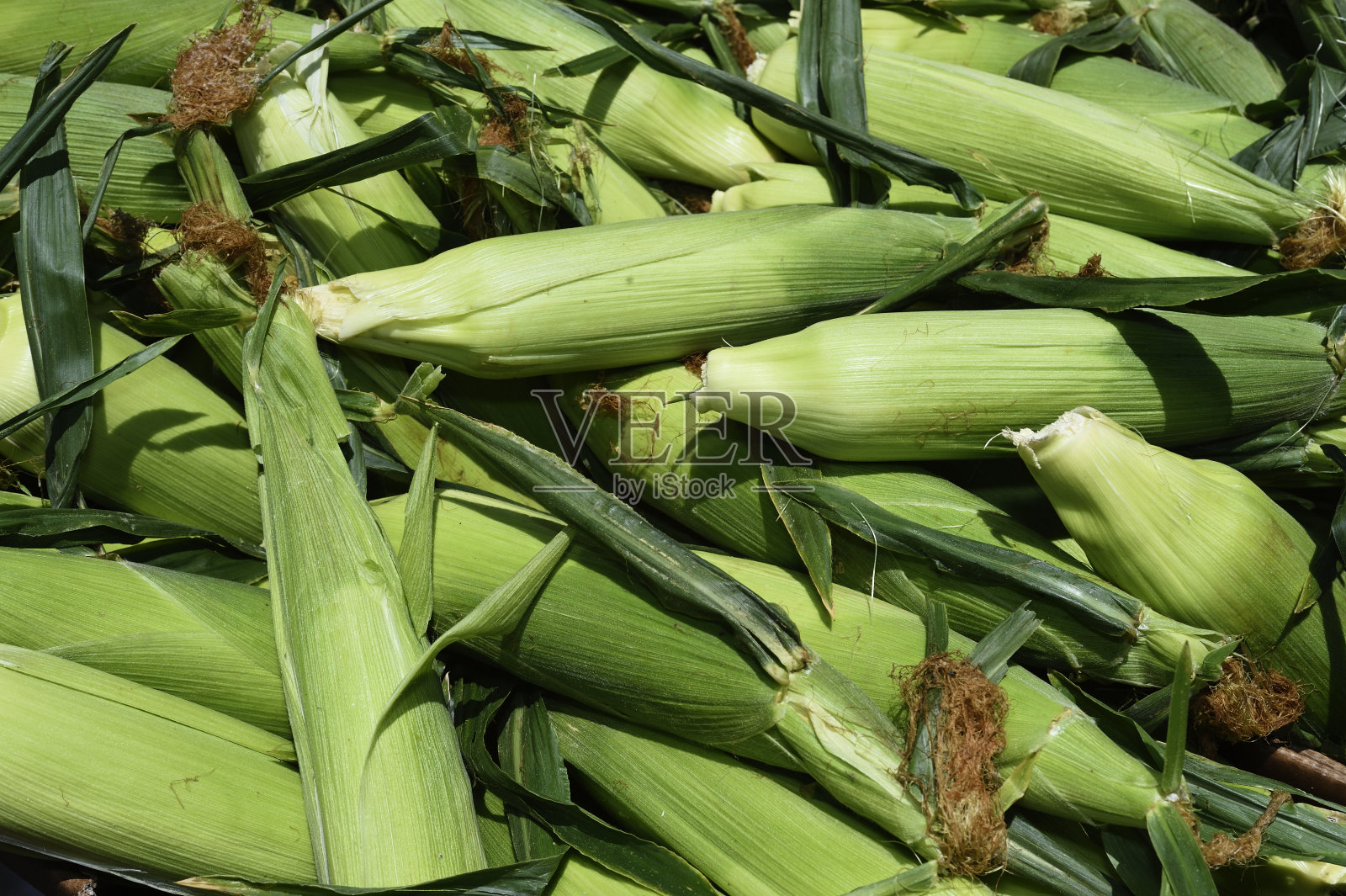 农贸市场有机玉米特写照片摄影图片