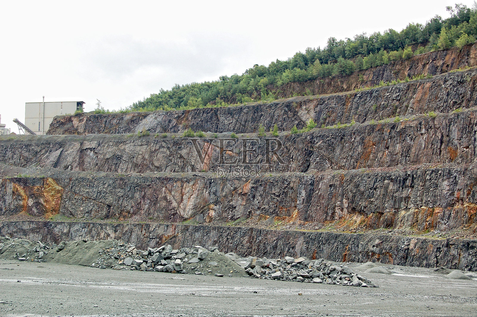 表面我的猎物照片摄影图片