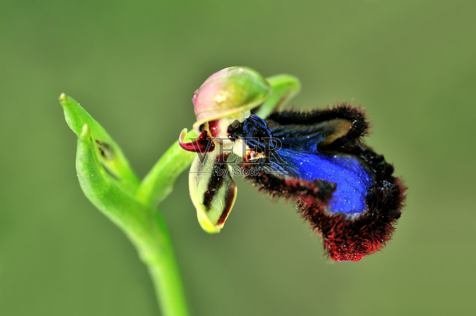 窥器照片摄影图片