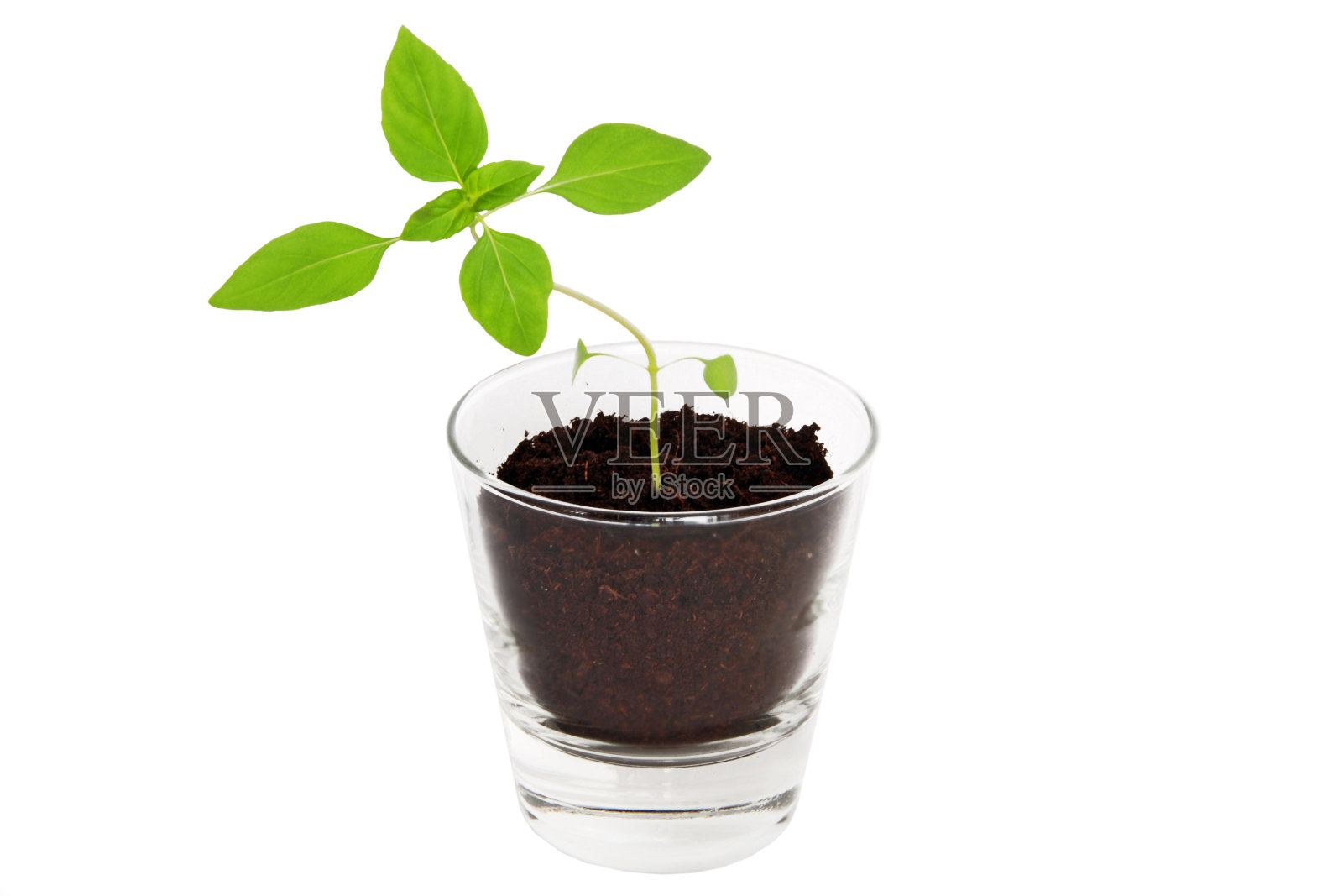 环境保护照片摄影图片