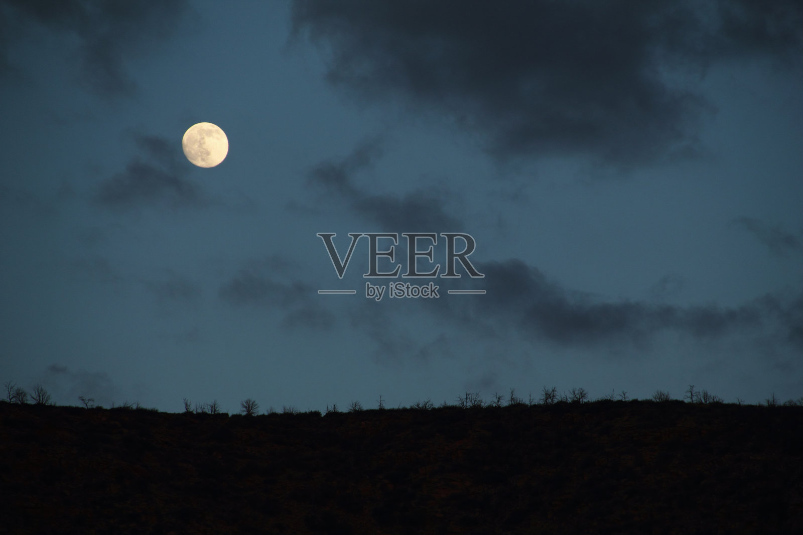 满月之夜照片摄影图片