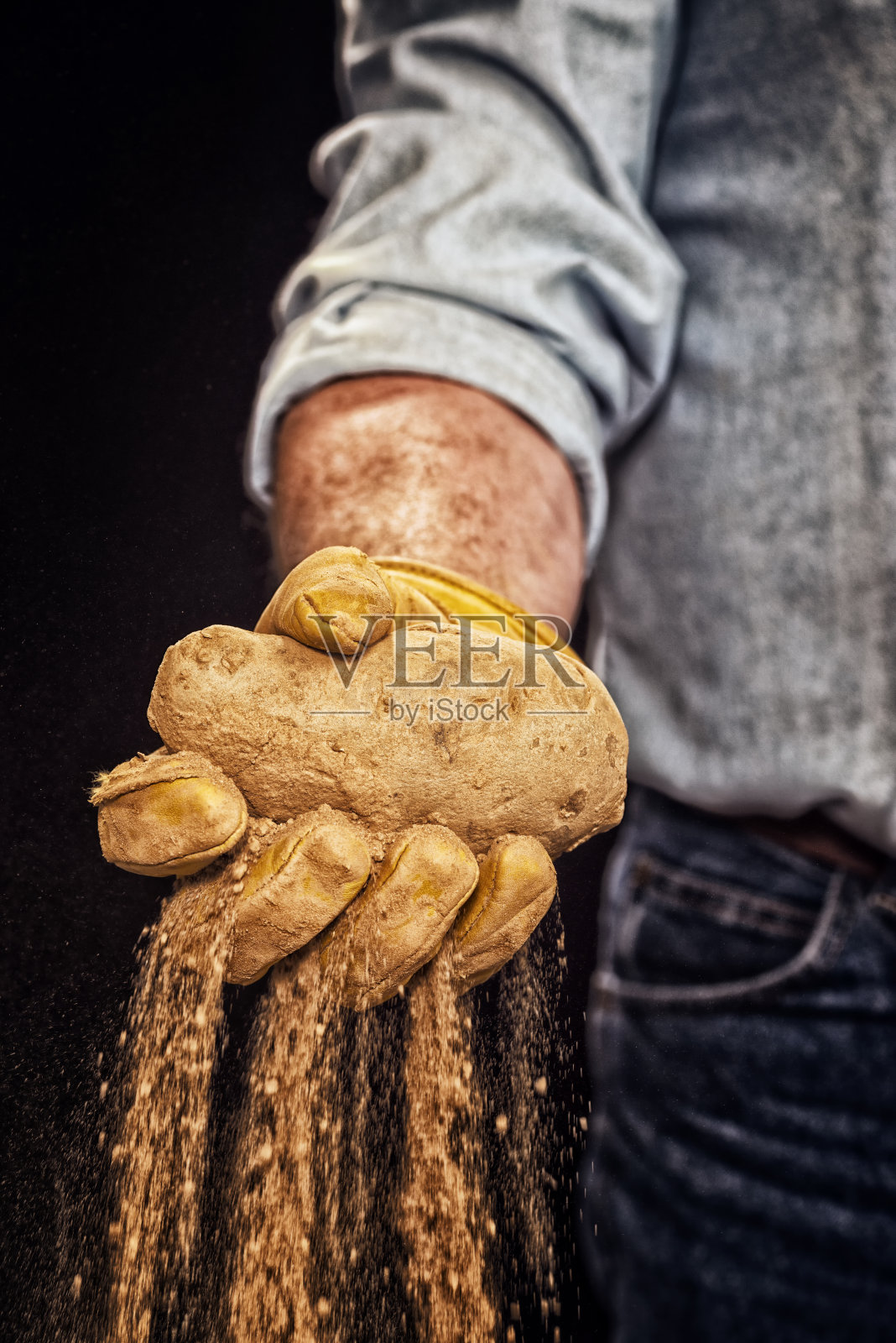 农夫从地里挖出了一个土豆照片摄影图片