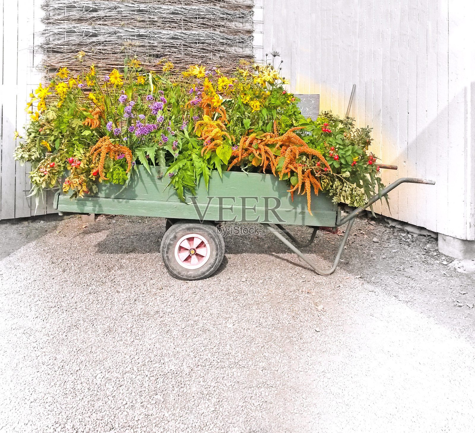 推车收获照片摄影图片