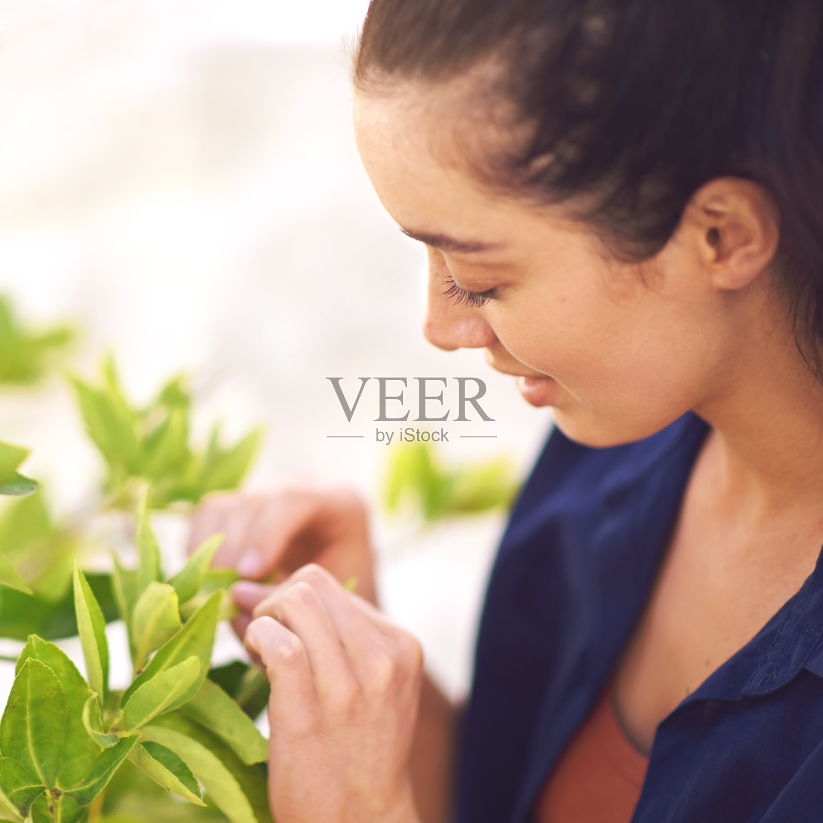 园艺是一种乐观的锻炼照片摄影图片