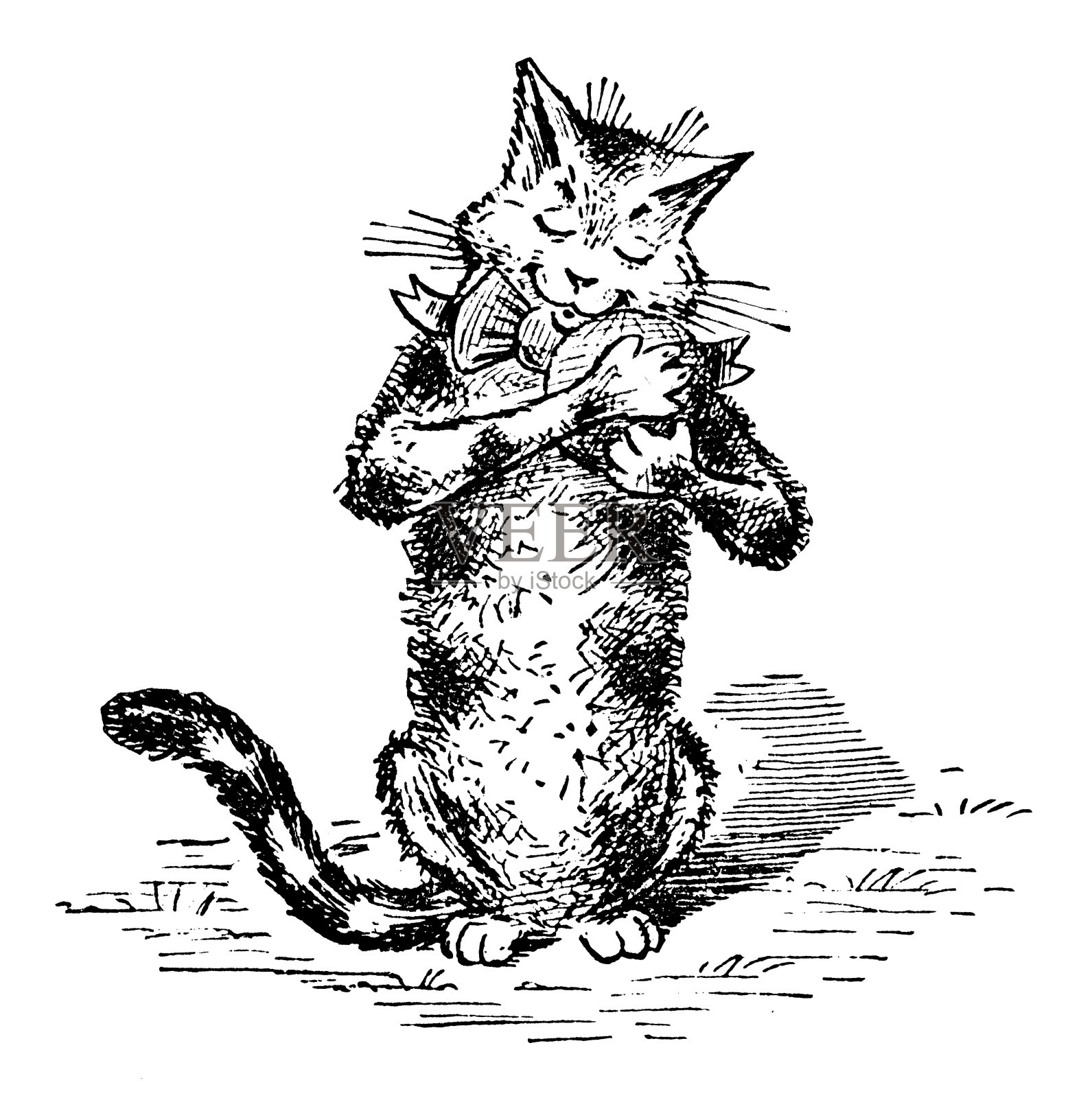 古董童书漫画插图:猫玩球插画图片素材