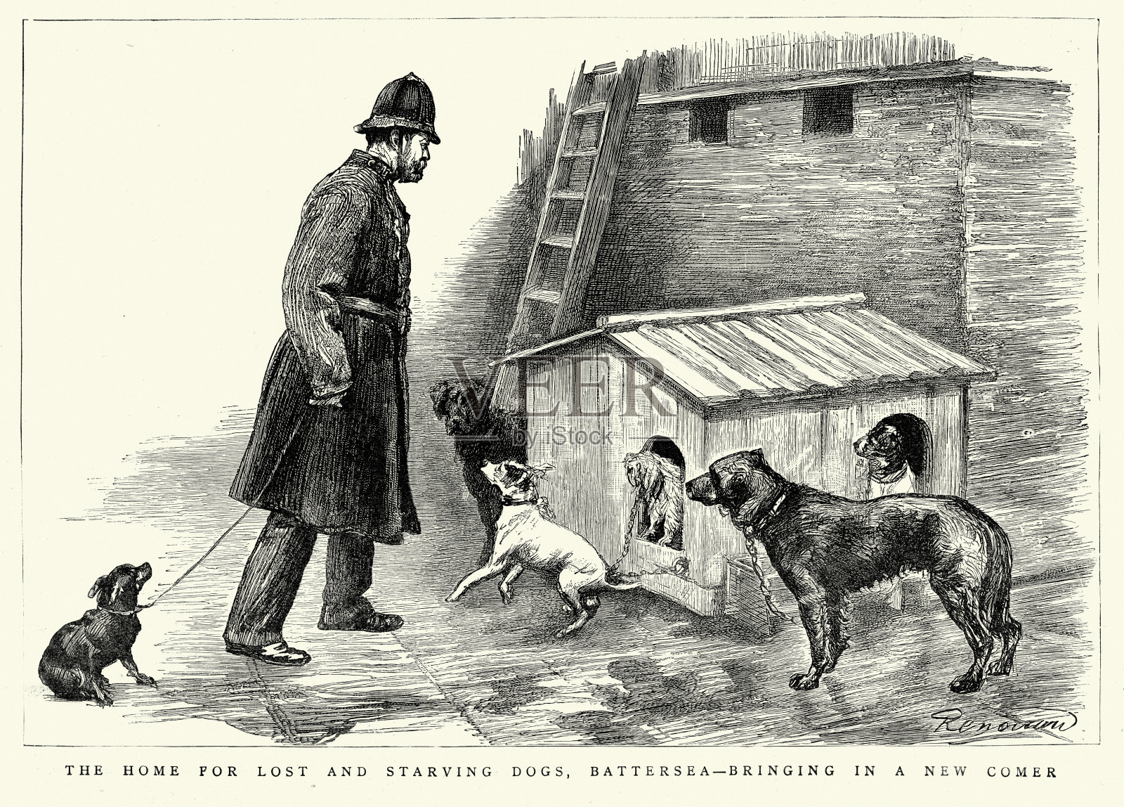 维多利亚巴特西犬之家插画图片素材