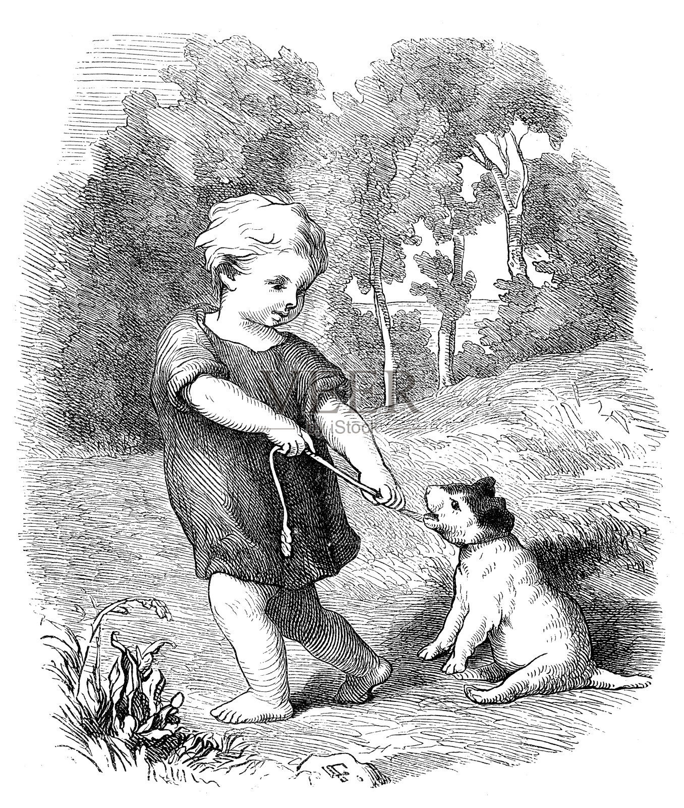 古董插图的孩子与狗插画图片素材