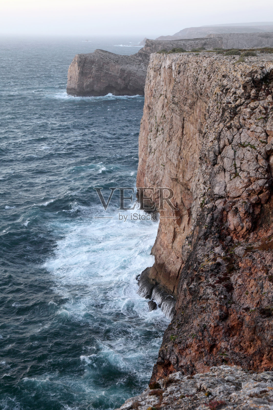 野生海照片摄影图片