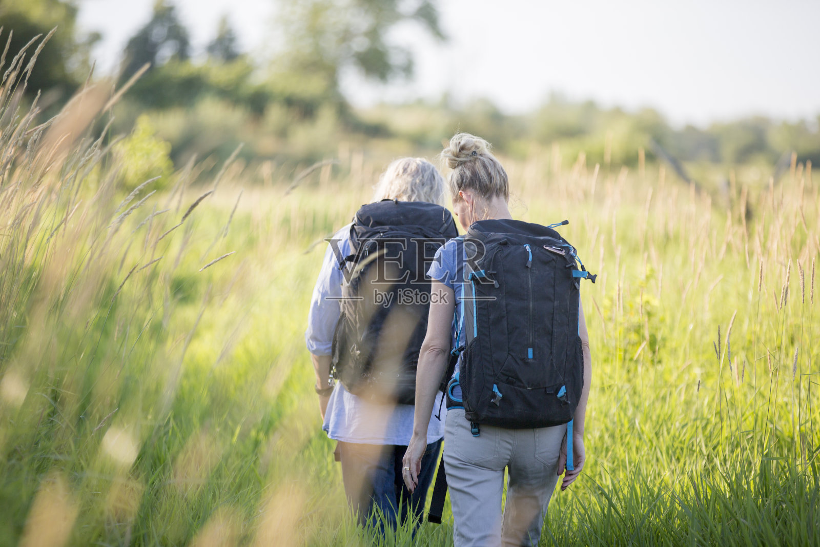 穿过草地照片摄影图片