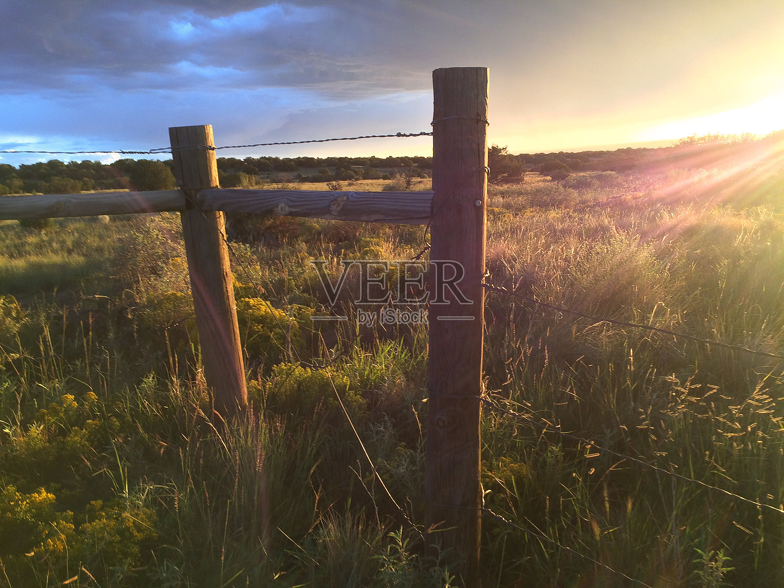 自然景观灵感阳光照片摄影图片