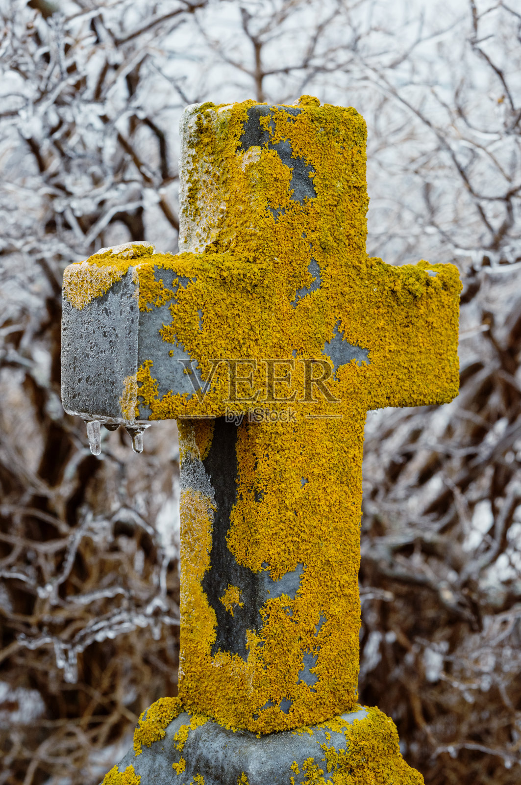 正直的葡萄酒照片摄影图片