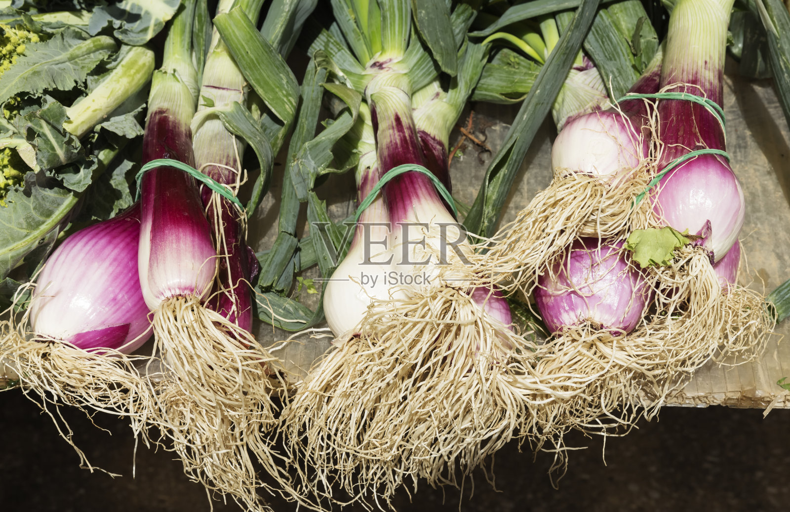 Tropea葱照片摄影图片