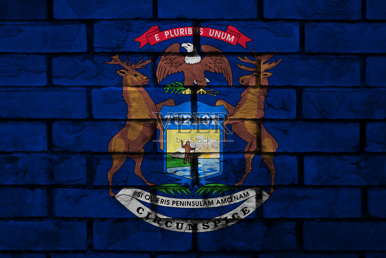 美国密歇根州国旗照片摄影图片