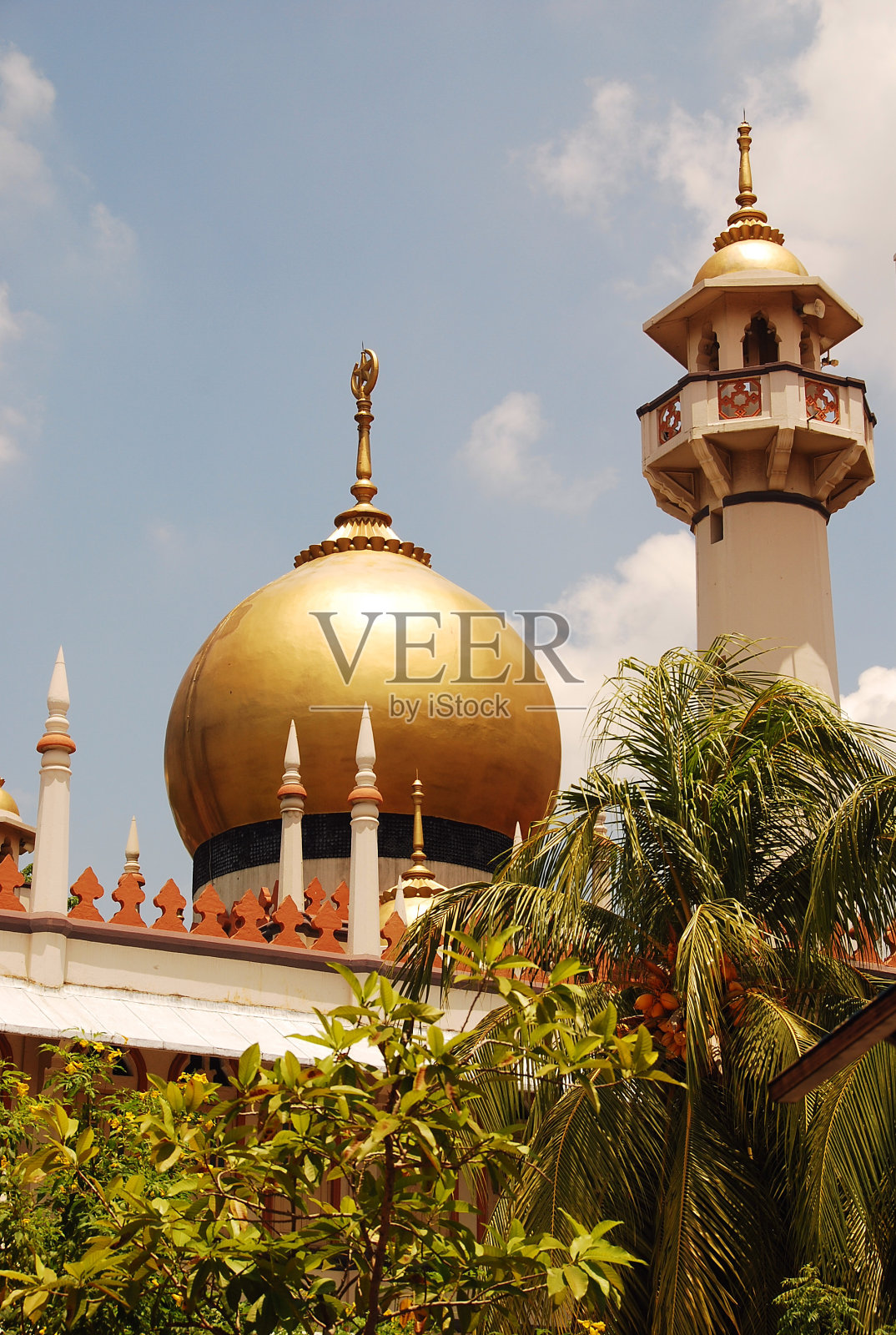 苏丹清真寺新加坡照片摄影图片
