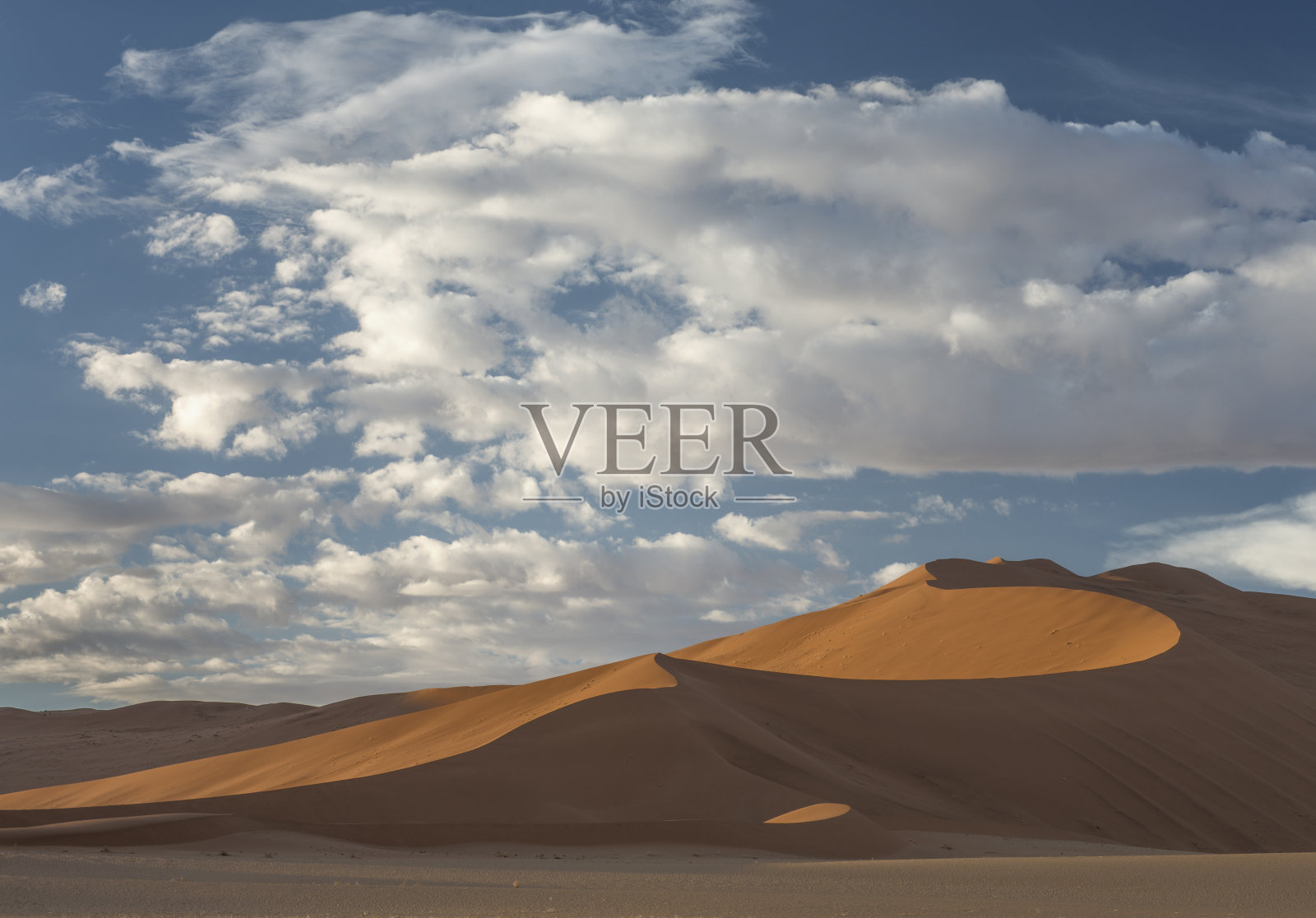 死弗莱照片摄影图片