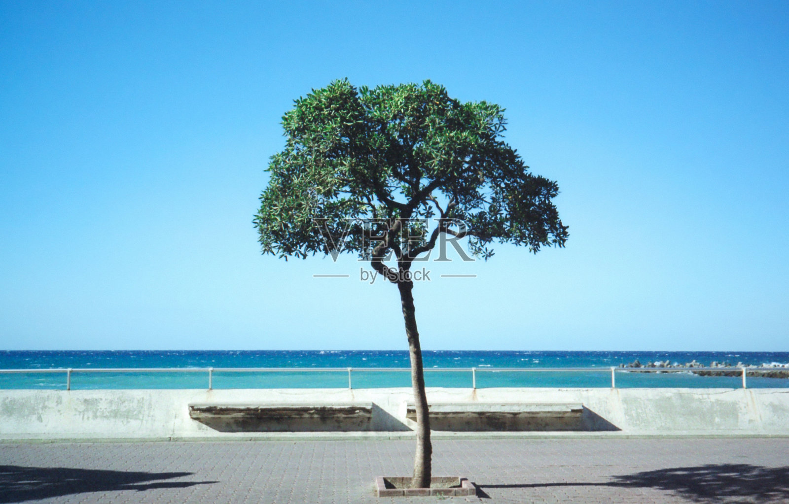 意大利的里维埃拉照片摄影图片