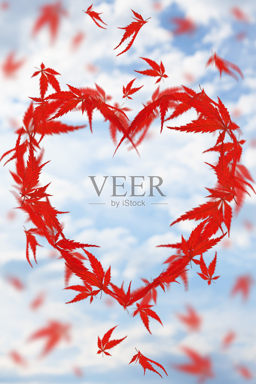 秋叶下降照片摄影图片