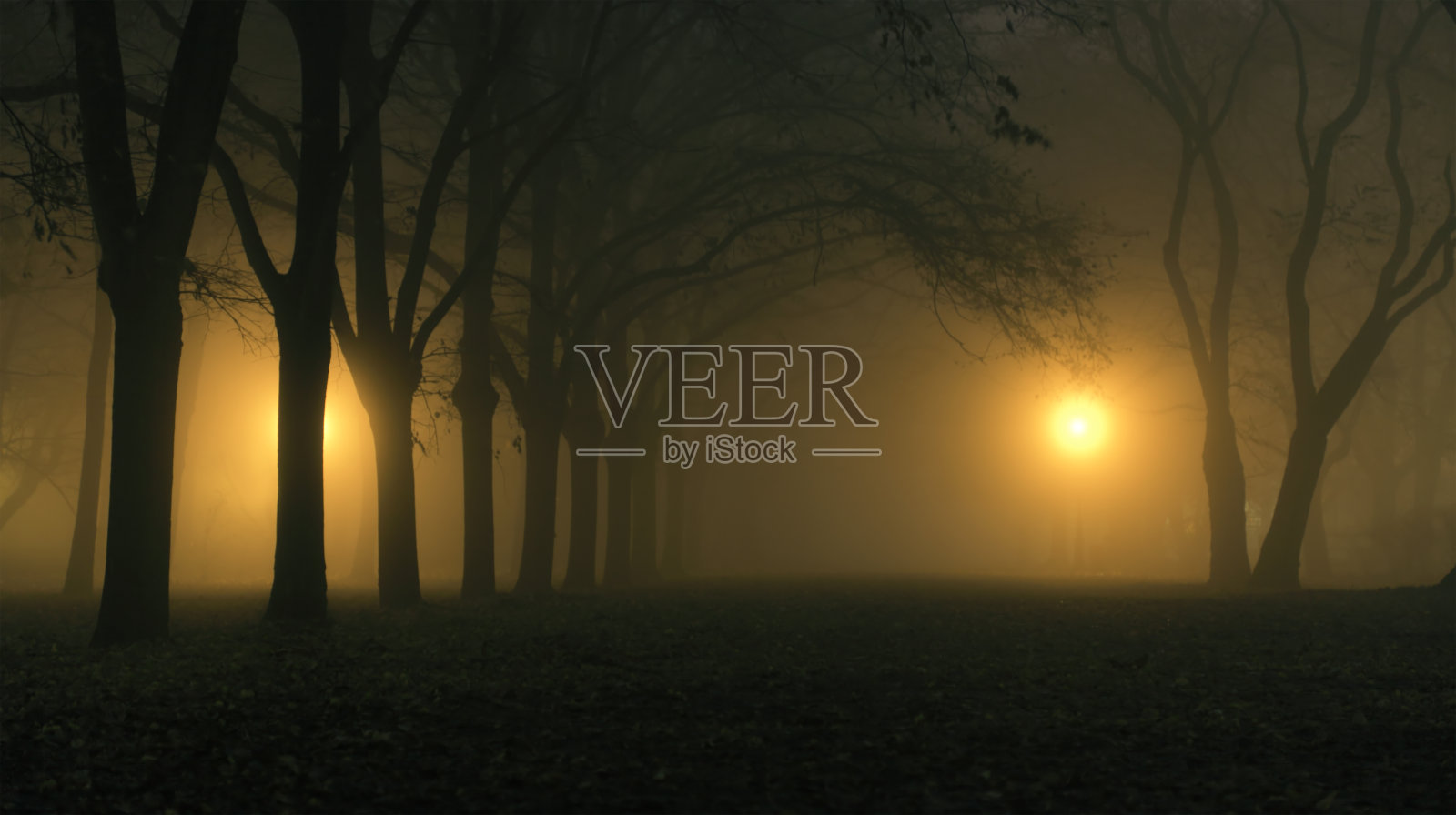 晚上的公园照片摄影图片