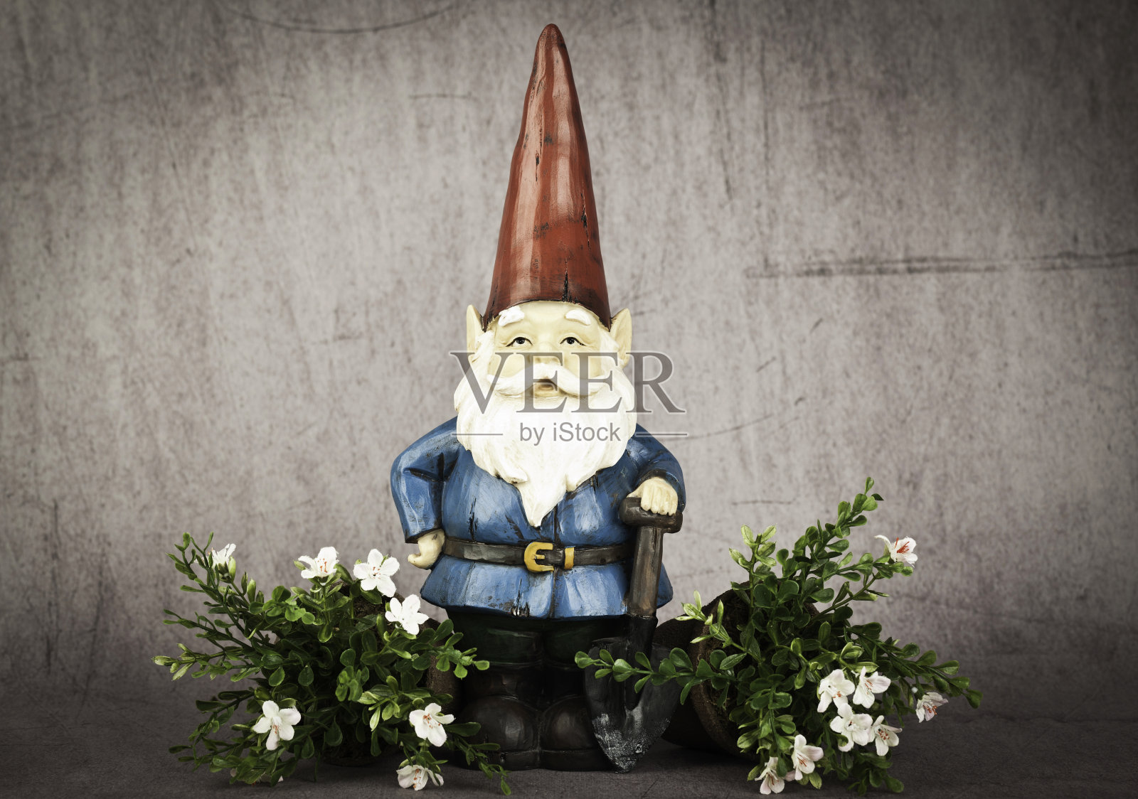 丑的花园Gnome照片摄影图片