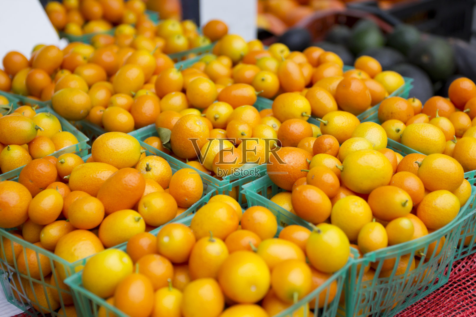 金橘照片摄影图片