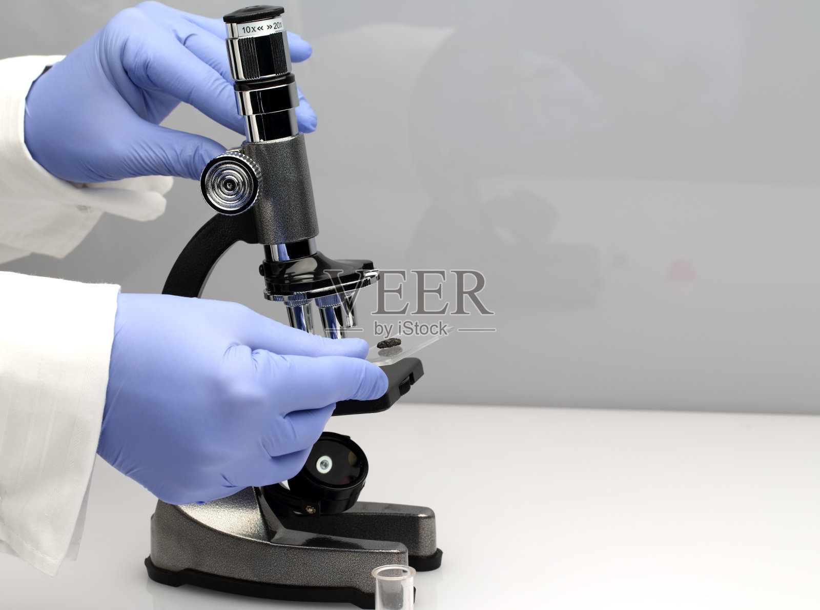 显微镜照片摄影图片