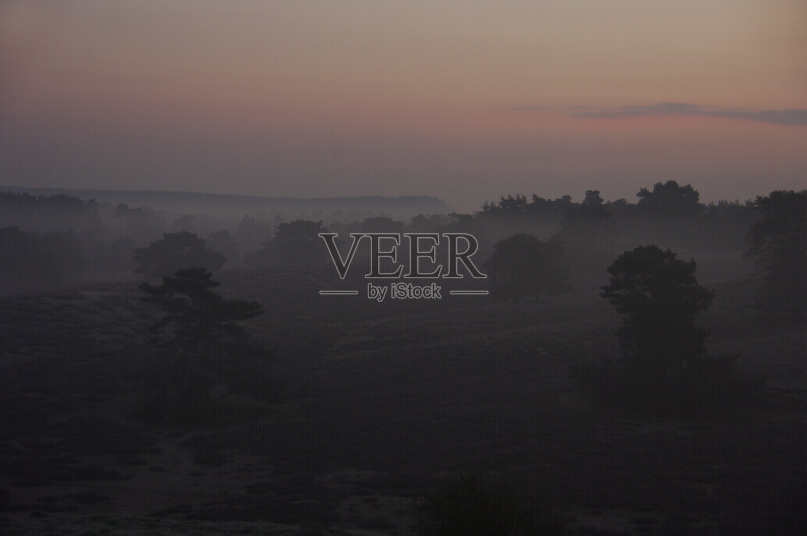 荒原上的晨露照片摄影图片