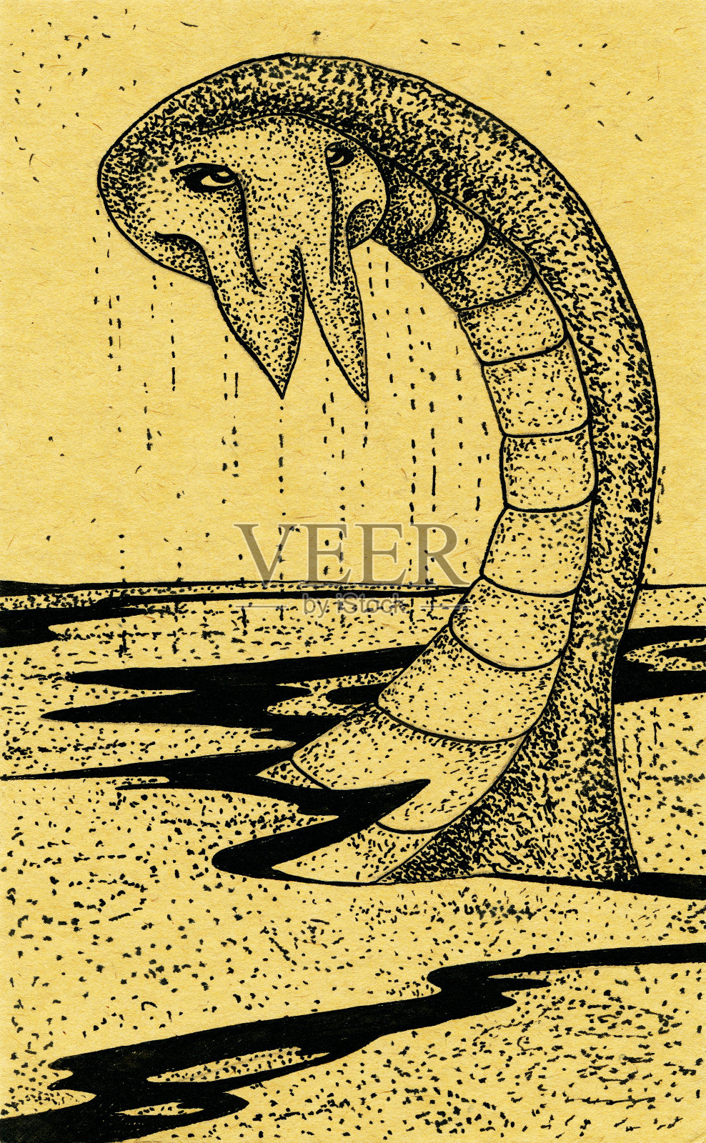 海龙，蛇，海怪，沙怪插画图片素材