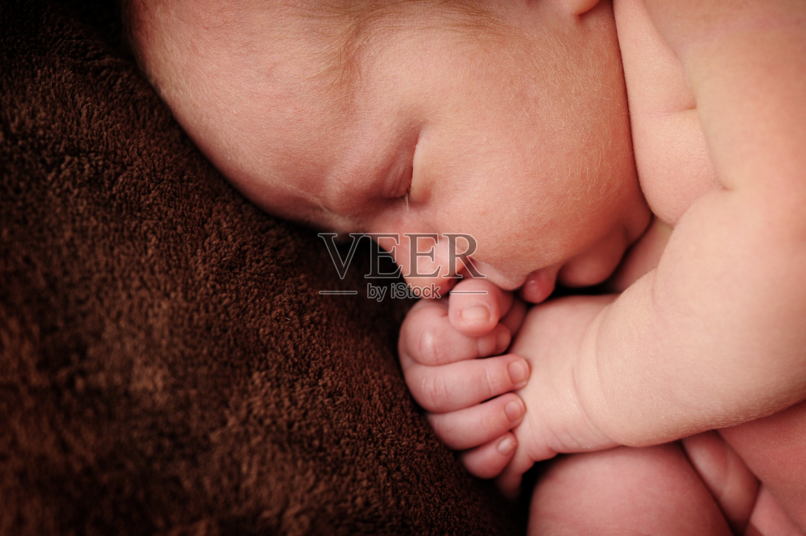 新生的特写镜头照片摄影图片