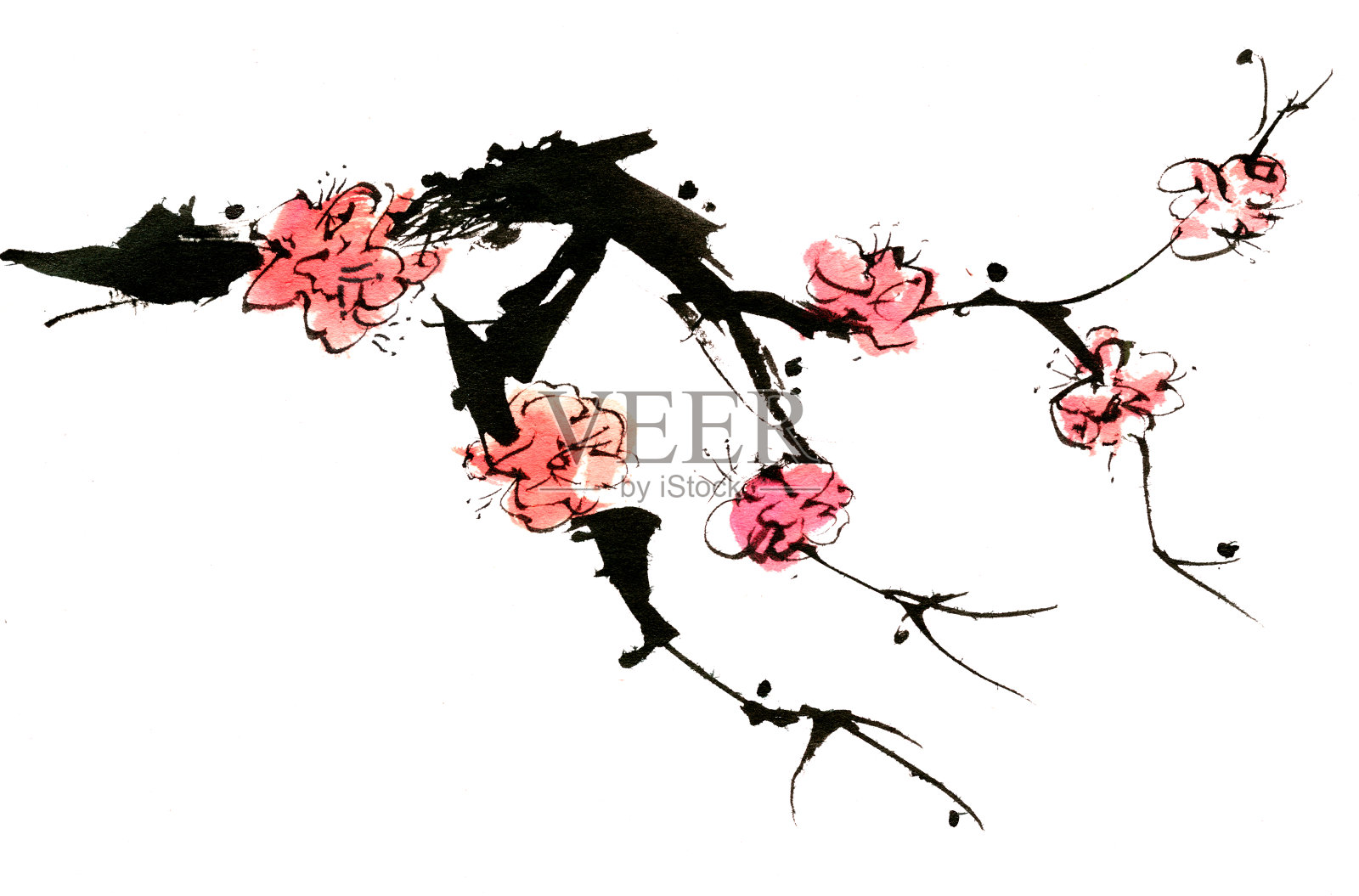 开花插画图片素材