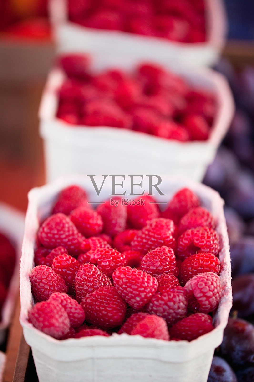 红莓照片摄影图片