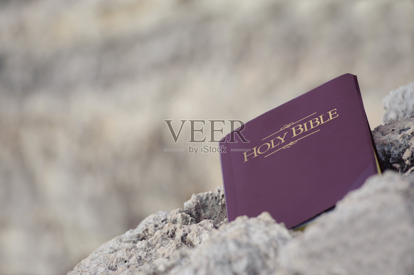 圣经照片摄影图片
