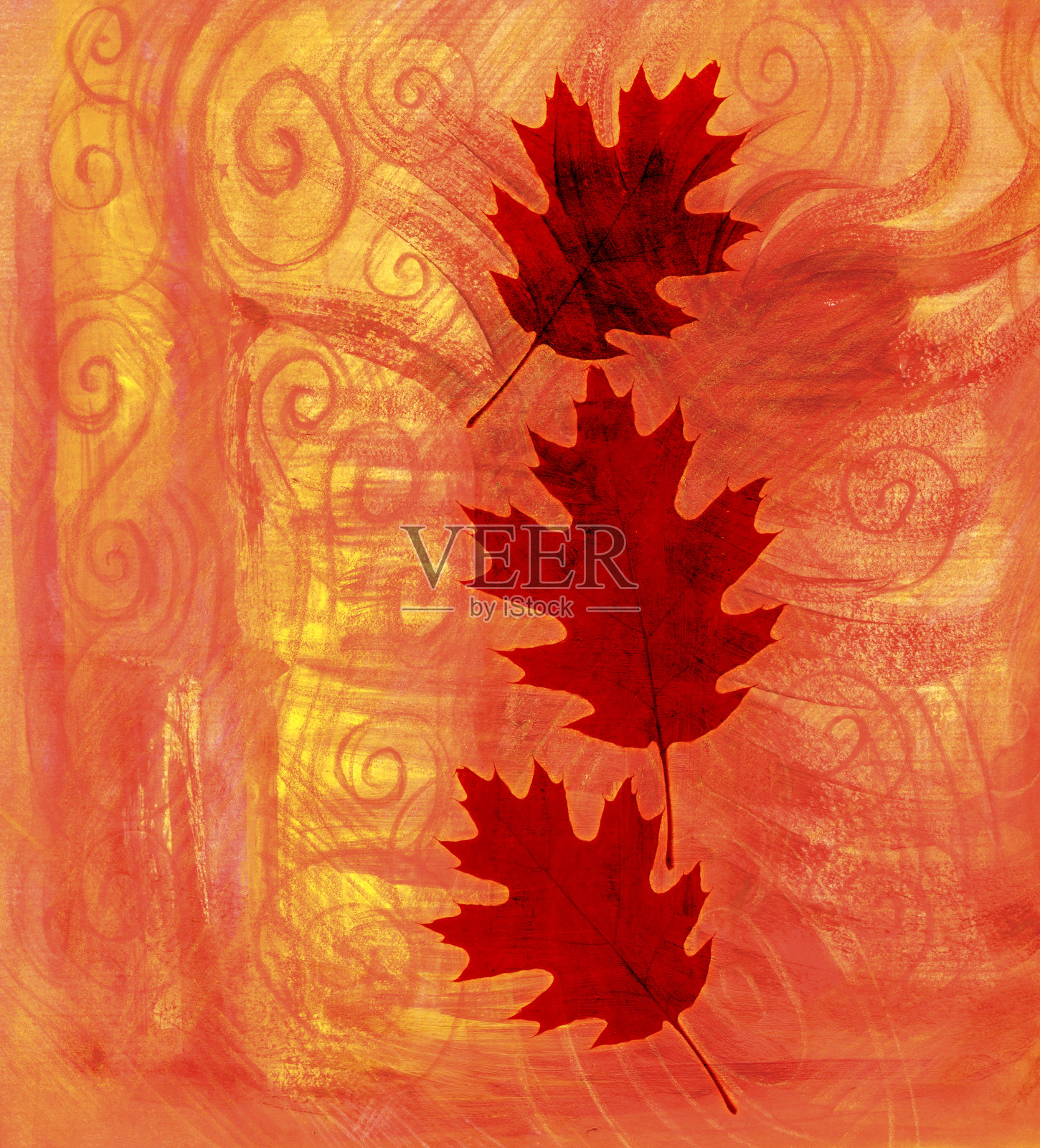 画树叶插画图片素材