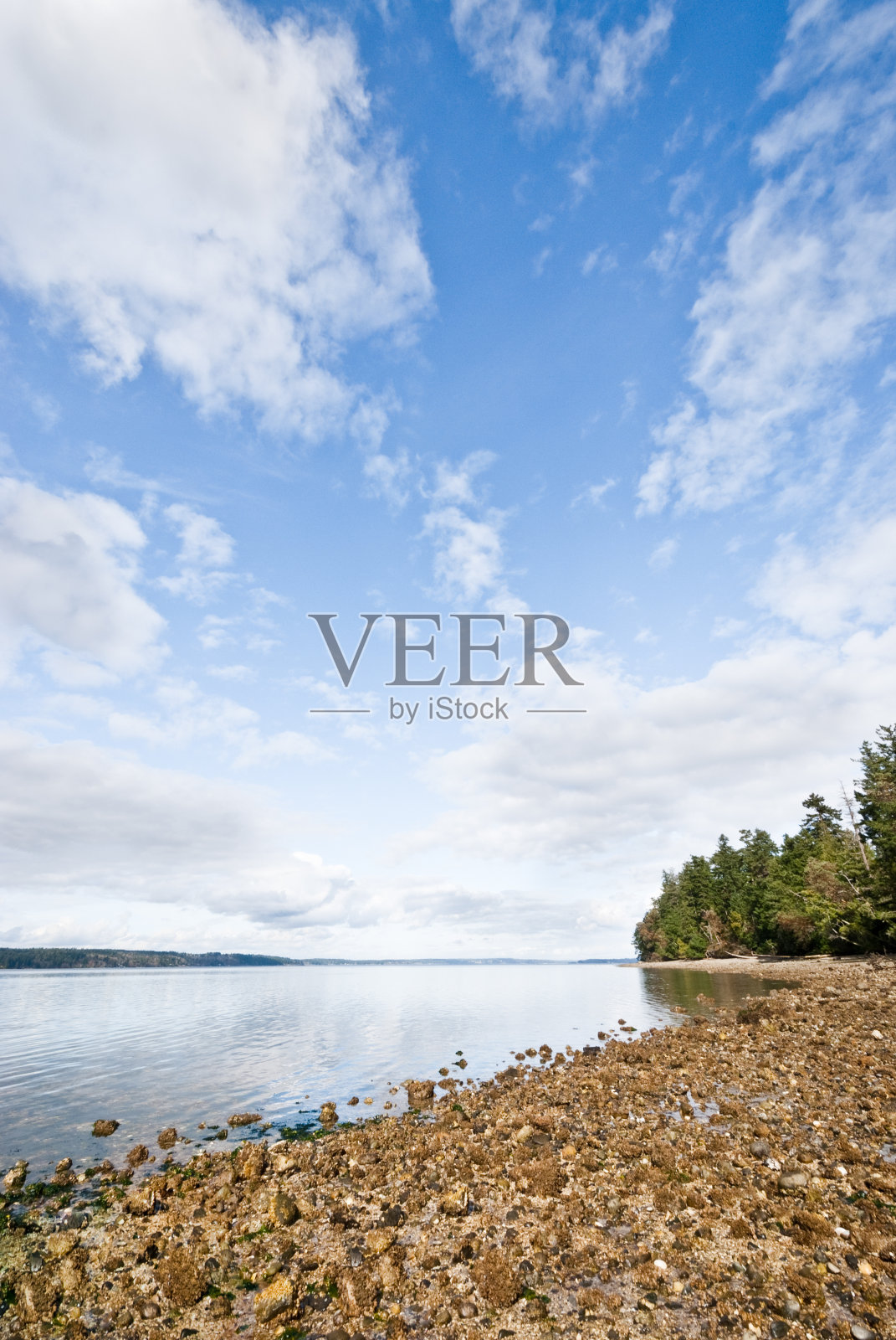 普吉特湾的沙砾海滩照片摄影图片