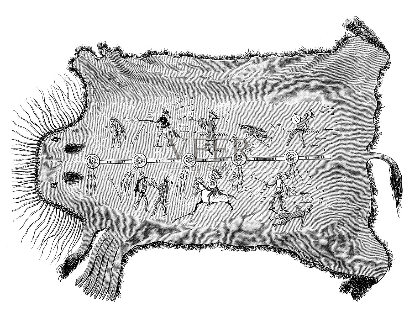 绘画野牛皮的古董插图插画图片素材