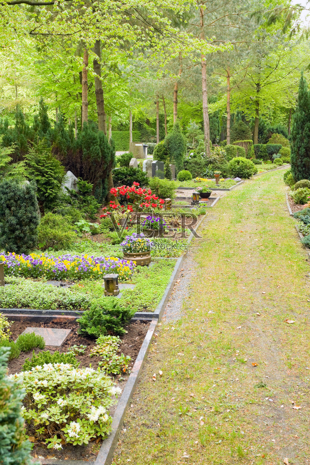 严重照片摄影图片