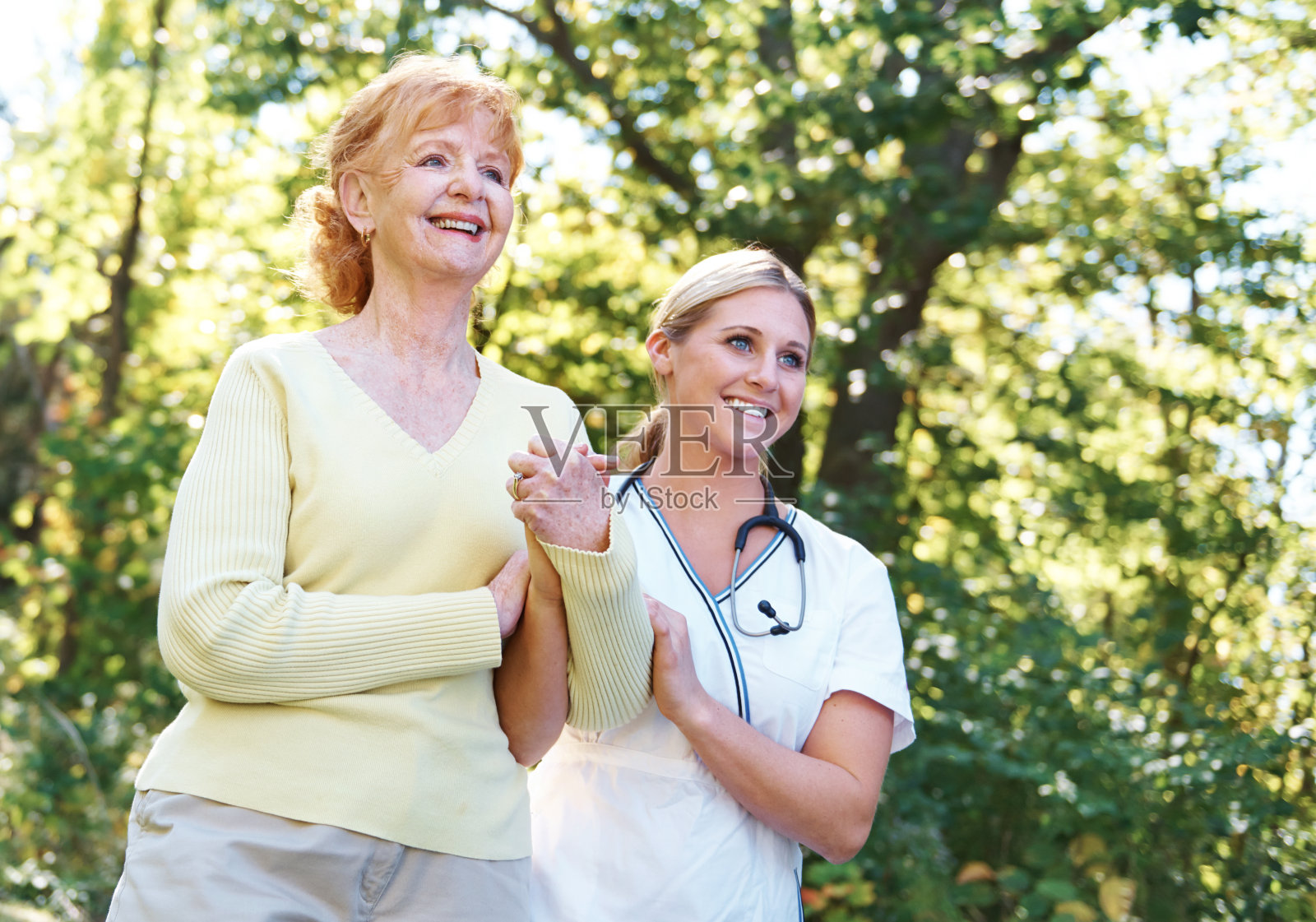 它们形成了一种特殊的联系照片摄影图片
