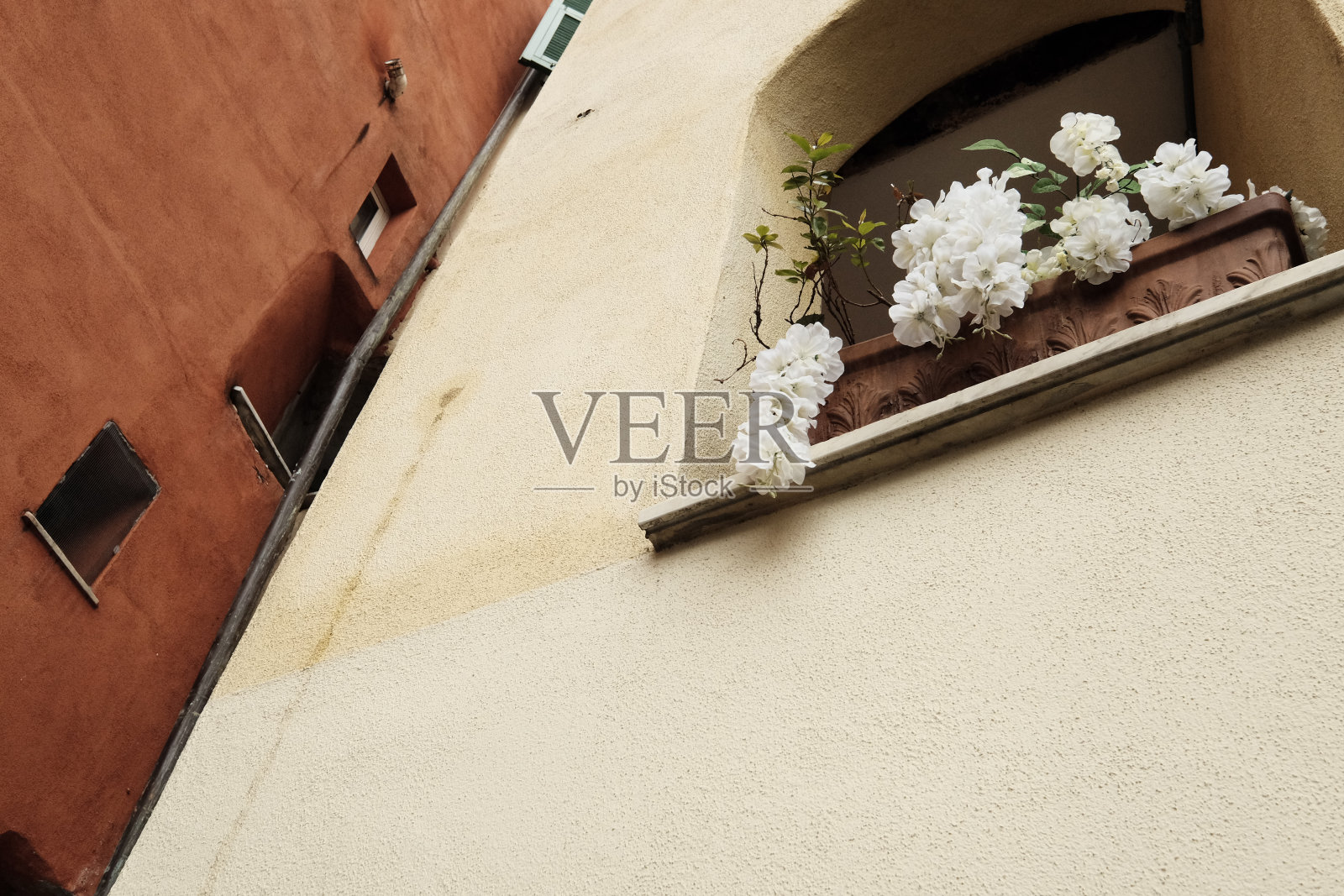 窗台上花瓶里插着漂亮的花照片摄影图片