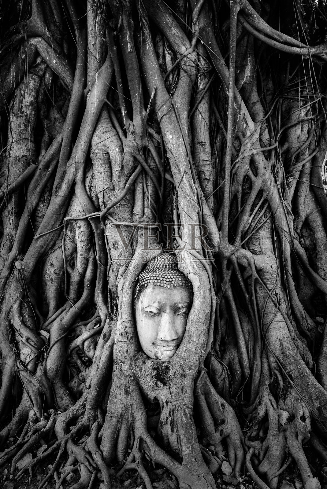 在泰国大城府的佛寺照片摄影图片