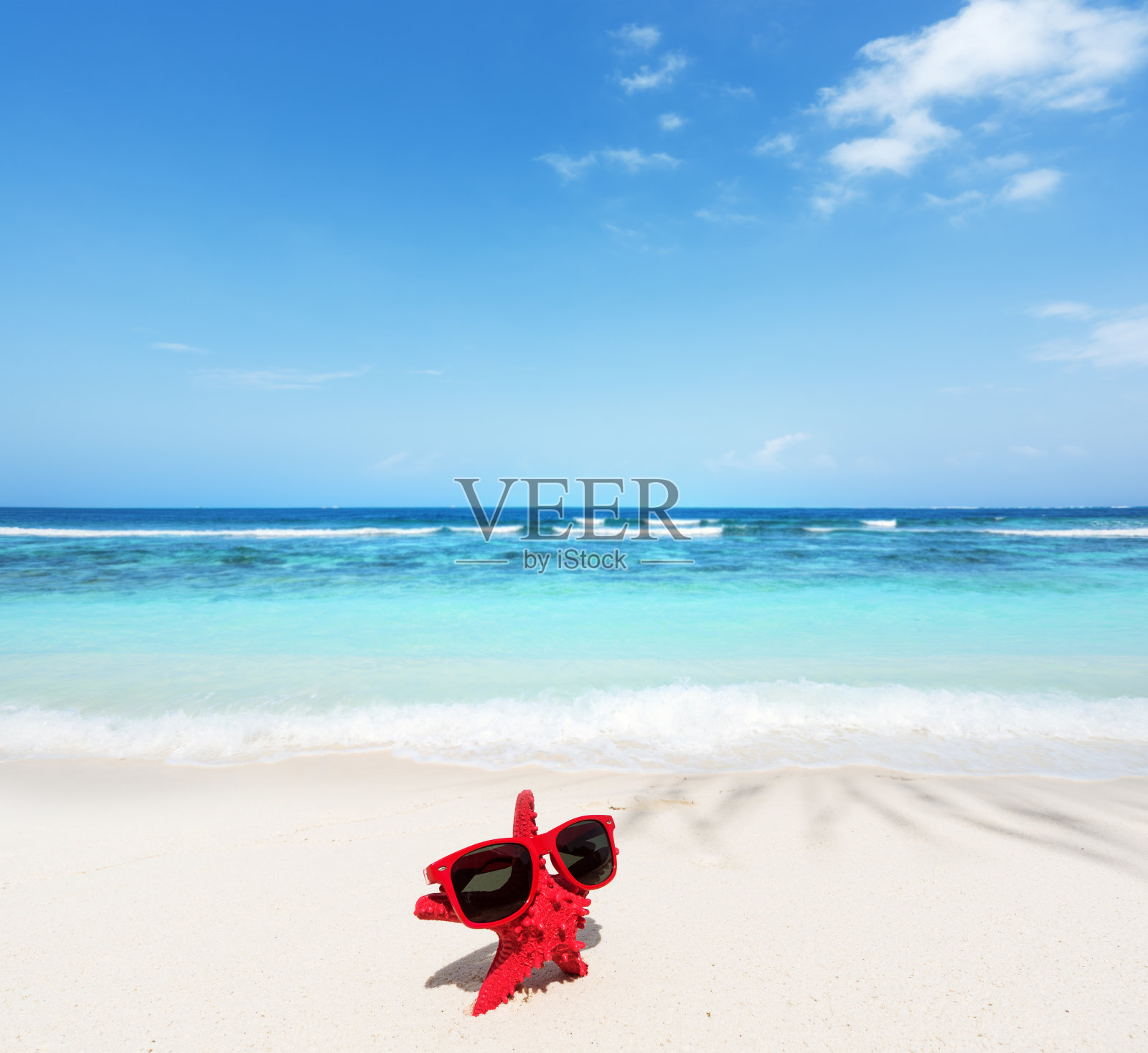 在阳光明媚的海滩上享受阳光照片摄影图片